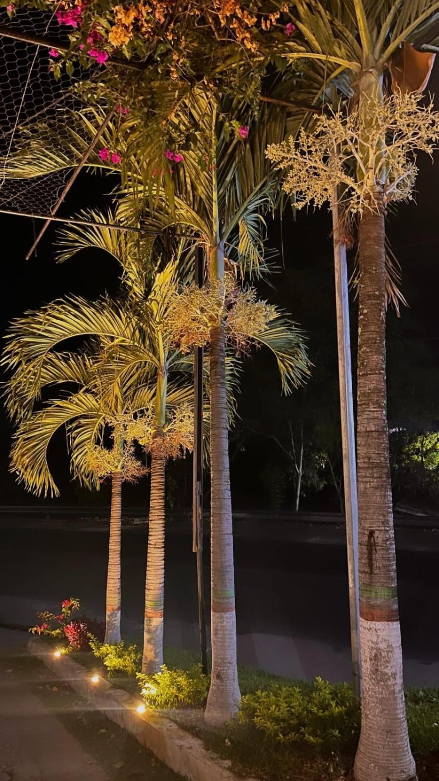 Villa Napoli Santa Ana Dış mekan fotoğraf